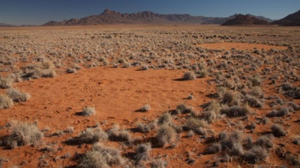 Las explicaciones a los misteriosos 'círculos de hadas' del desierto de Namibia