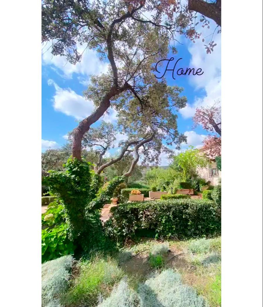 Las impresionantes vistas que tiene Marisa Martín-Blázquez desde el jardín de su casa