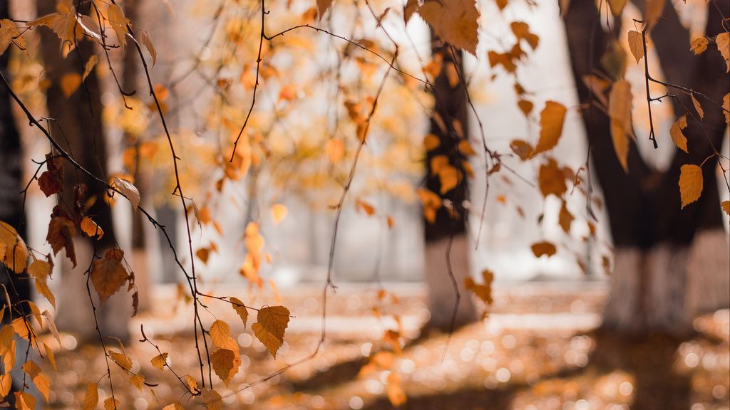 ¿Qué tiempo hará este otoño? El niño de las cabañuelas da su previsión