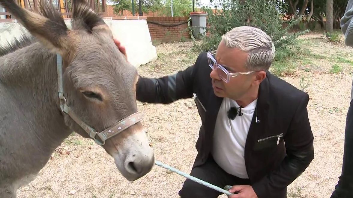 The story of the Donkey by Jorge Javier Vázquez: this is how he met Fortunato