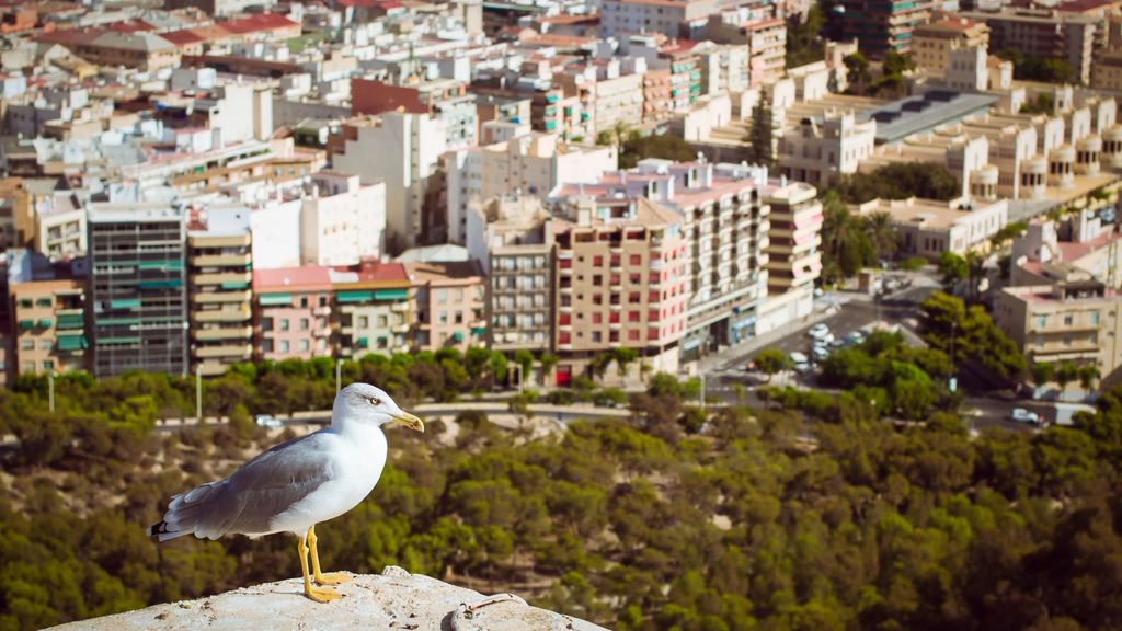 La semana que viene el veranillo traerá temperaturas de más de 35 grados en España