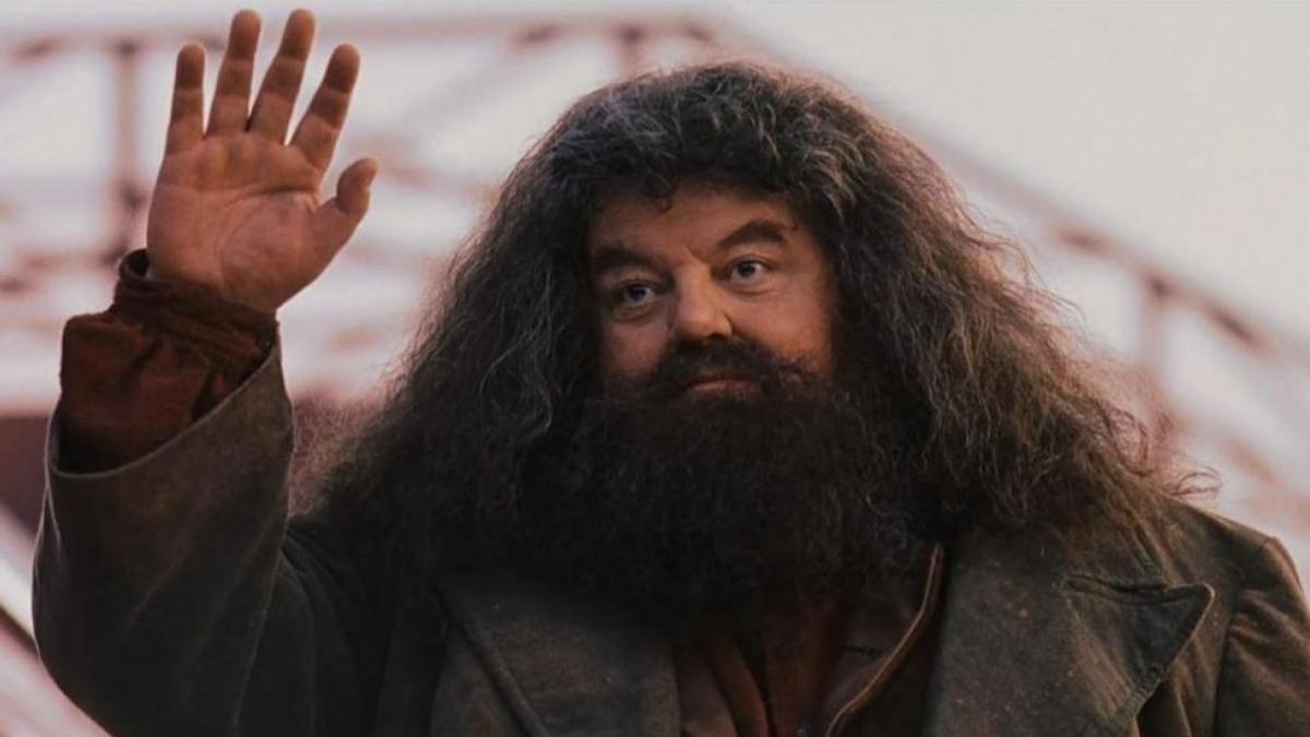 robbie coltrane hagrid harry potter muere