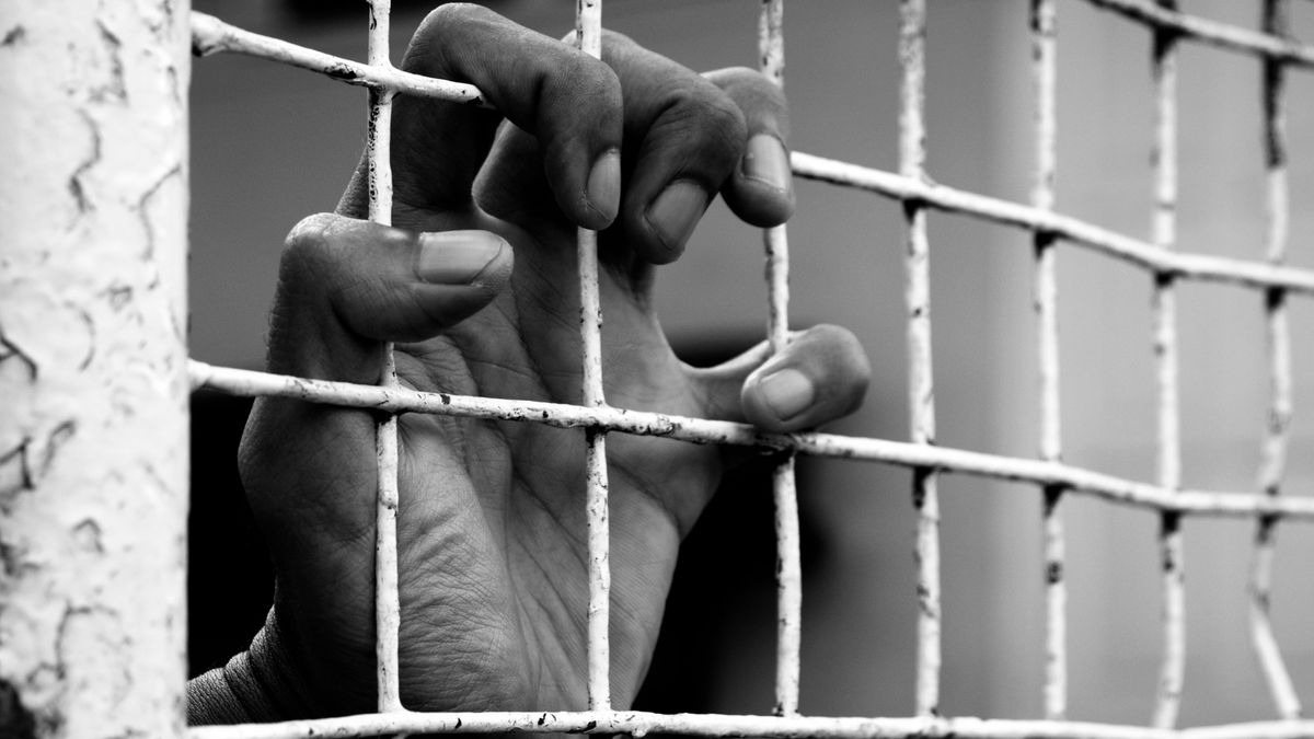 Una joven fue secuestrada durante 20 días en una jaula para perros