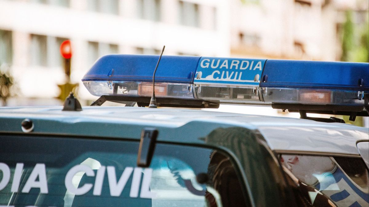 Una vaca suelta provoca dos accidentes con cuatro heridos en la A-92 en Archidona, Málaga