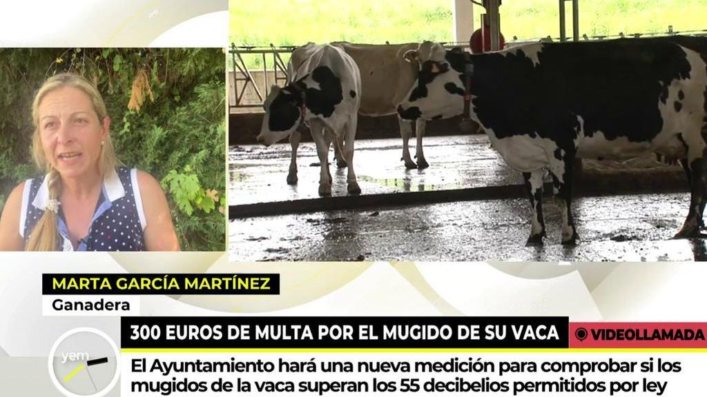 Una ganadera, indignada con la sanción a un vecino por los mugidos de su vaca