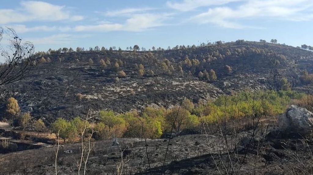 Monte quemado en Vall d'Ebo (Alicante)