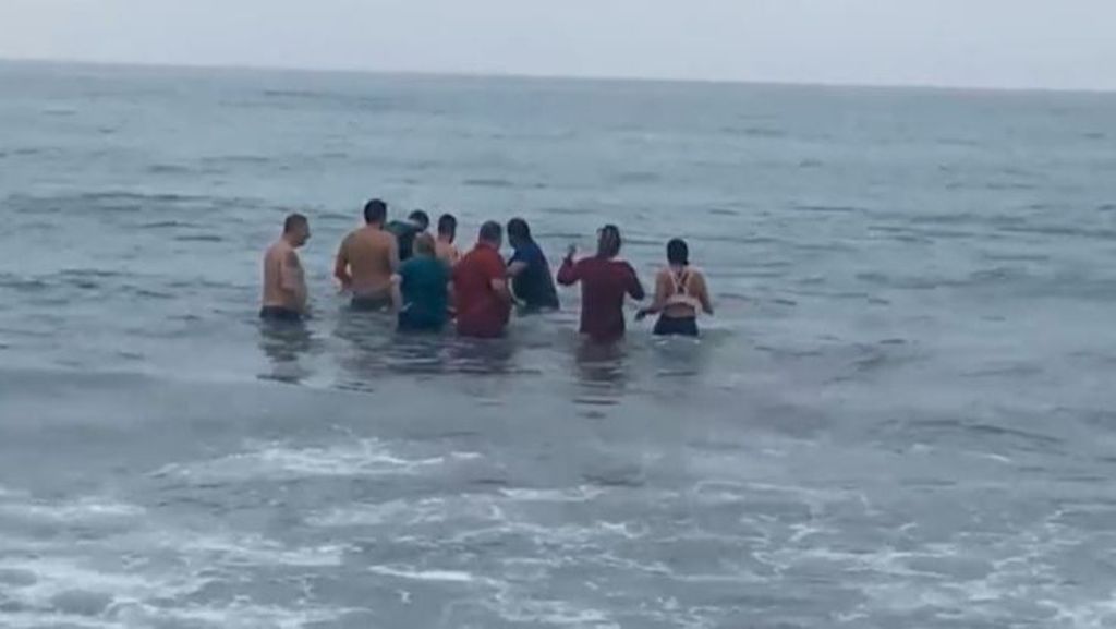 Así salvó un grupo de bañistas a un zifio varado en una playa de La Línea de la Concepción