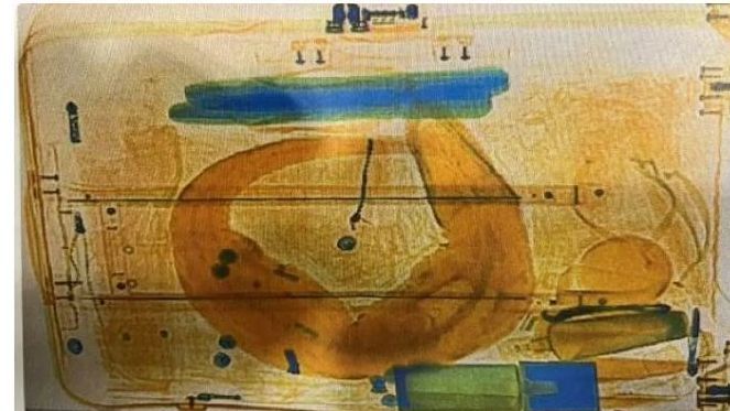 Los agentes de la seguridad de tierra detectaron el cocodrilo vivo envuelto en plástico dentro de la maleta