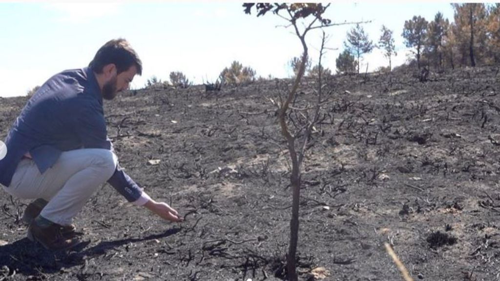 El vicepresidente, Juan García-Gallardo, acude a la Sierra de la Culebra, en Zamora