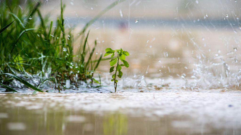 Las temperaturas van a subir el lunes, pero sigue la lluvia: el tiempo previsto en España