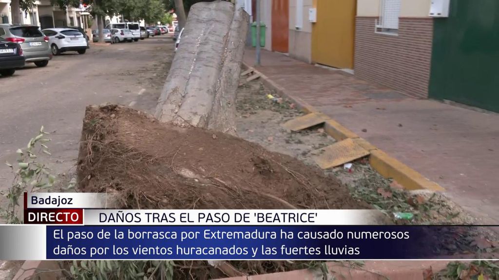 El rastro de la tormenta Béatrice a su paso por España