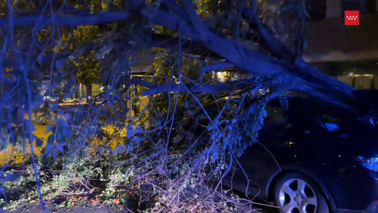 El rastro de la tormenta Béatrice a su paso por España