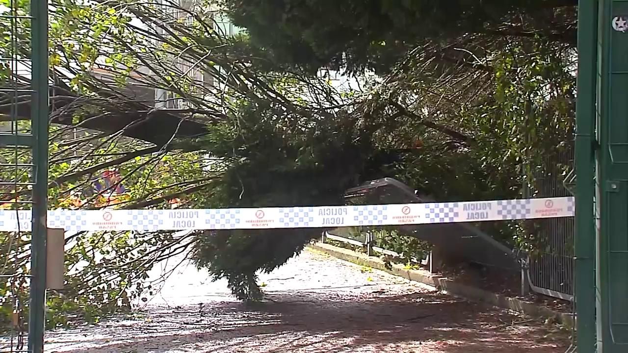 El rastro de la tormenta Béatrice a su paso por España