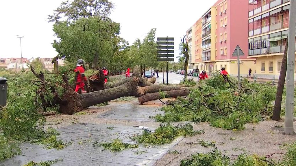 El rastro de la tormenta Béatrice a su paso por España