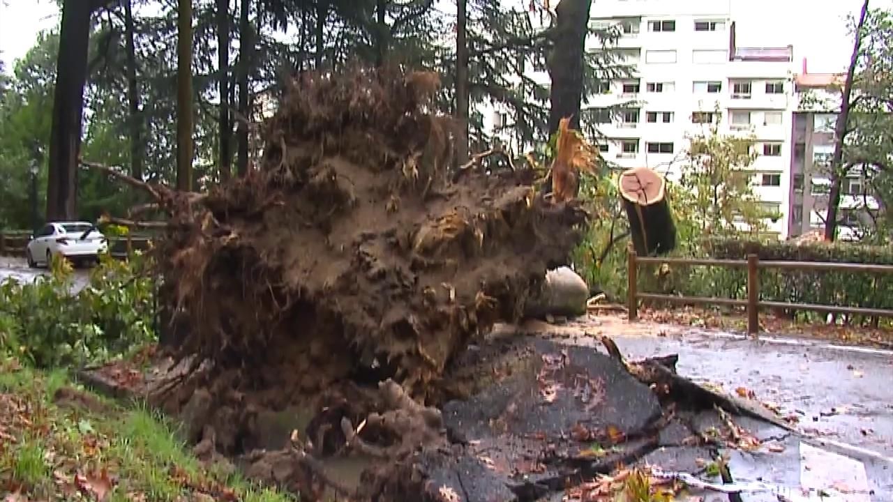 El rastro de la tormenta Béatrice a su paso por España