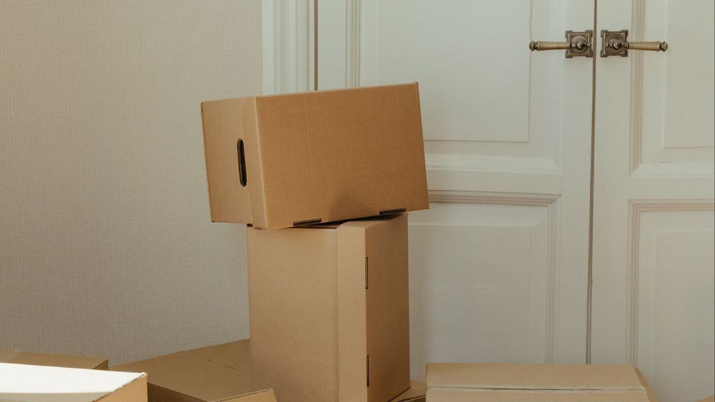 Cajas de cartón