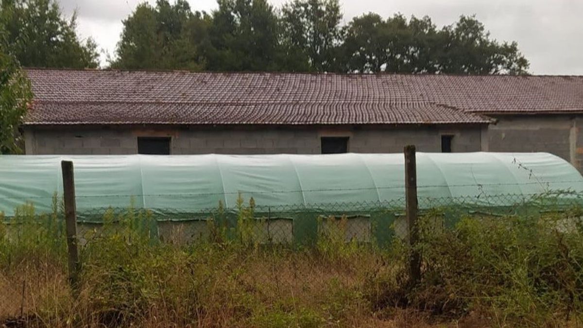 Instalación en la que tenían la droga. Instalación en la que tenían la droga.