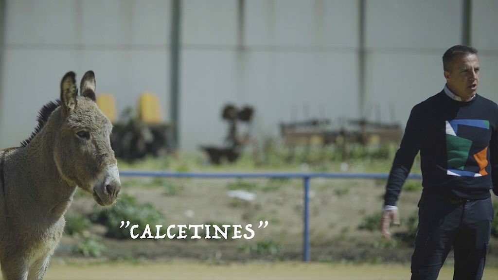 Soria, con Calcetines
