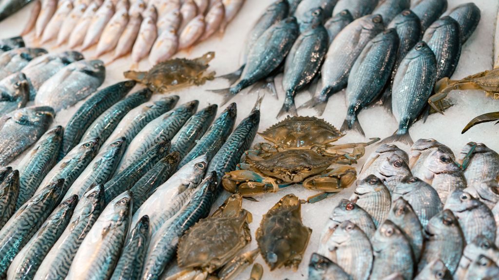 Toma pescado varias veces por semana. FUENTE: Pexels