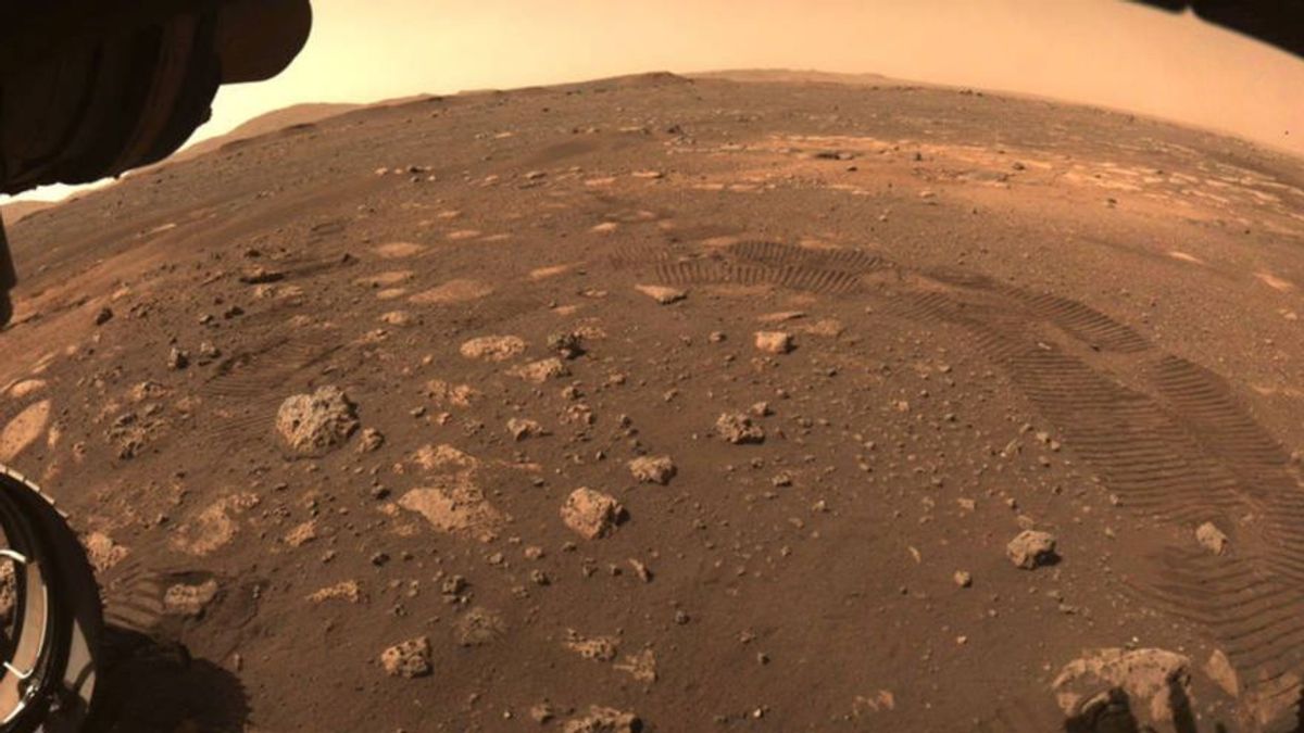 Antiguas bacterias podrían estar 'dormidas' bajo el suelo de Marte