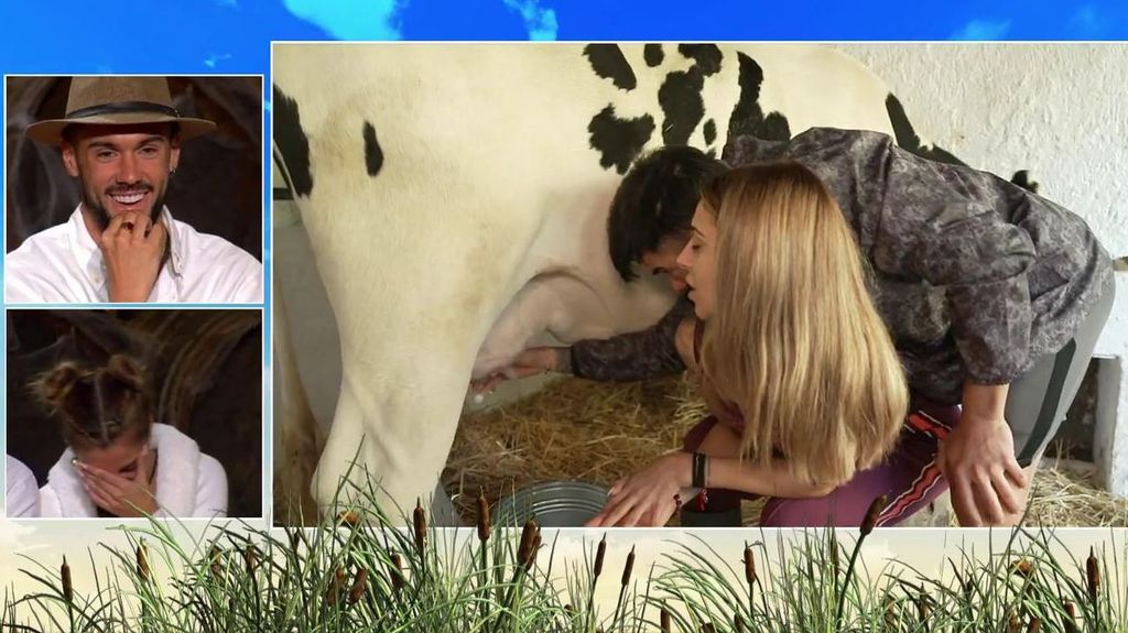 La vaca de 'Pesadilla en El Paraíso' hace que Bea y Dani G se reconcilien