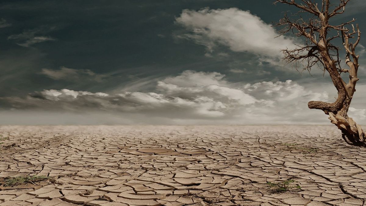 Un escenario de sequía