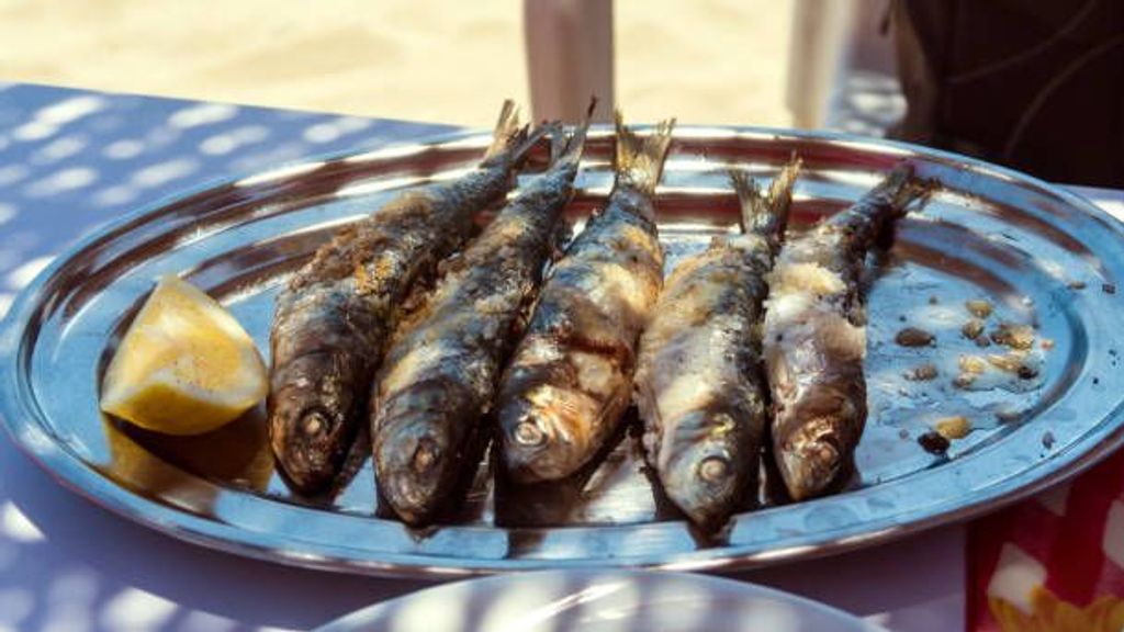 Estos son los pescados y mariscos con menor índice de mercurio, según el CSIC