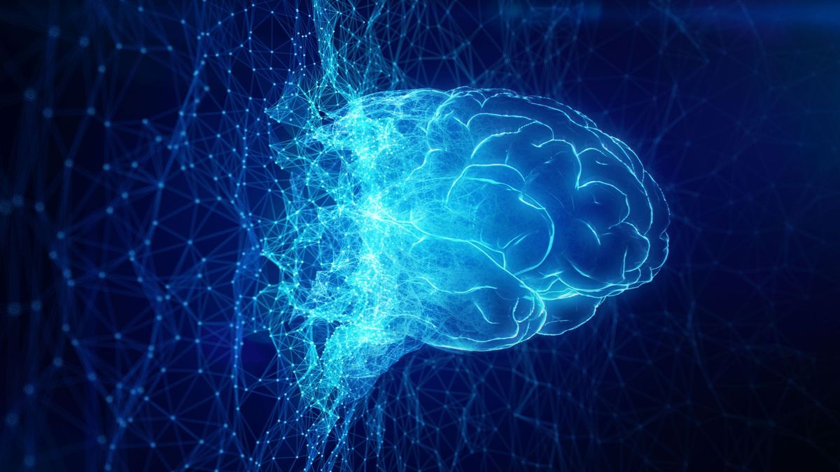 Cerebro Cerebro