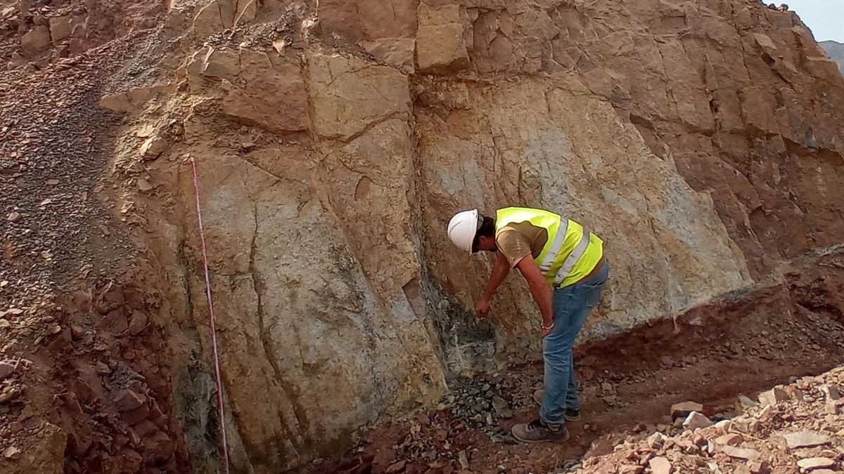 Restos arqueológicos hace mas 200 millones anos hallados en Algeciras