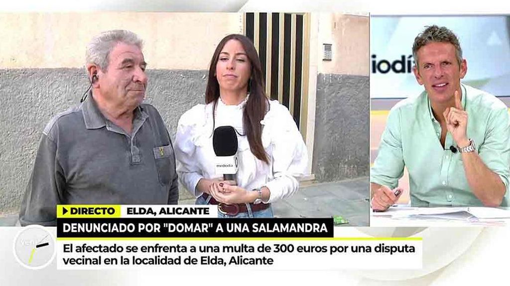 Denuncian a un vecino de Elda (Alicante) por amaestrar a una salamanquesa