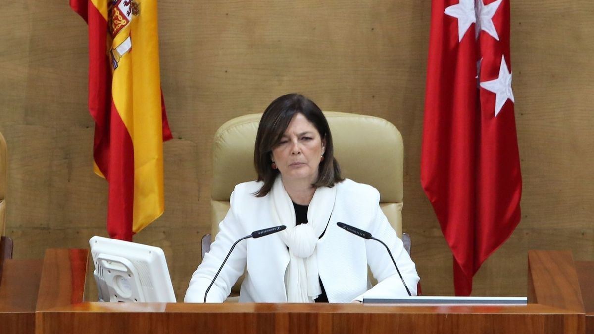 paloma paloma