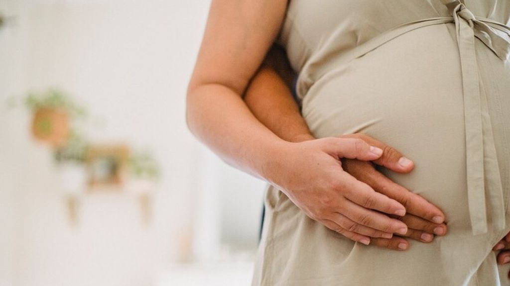 ¿Se podrá consumir surimi durante el embarazo?