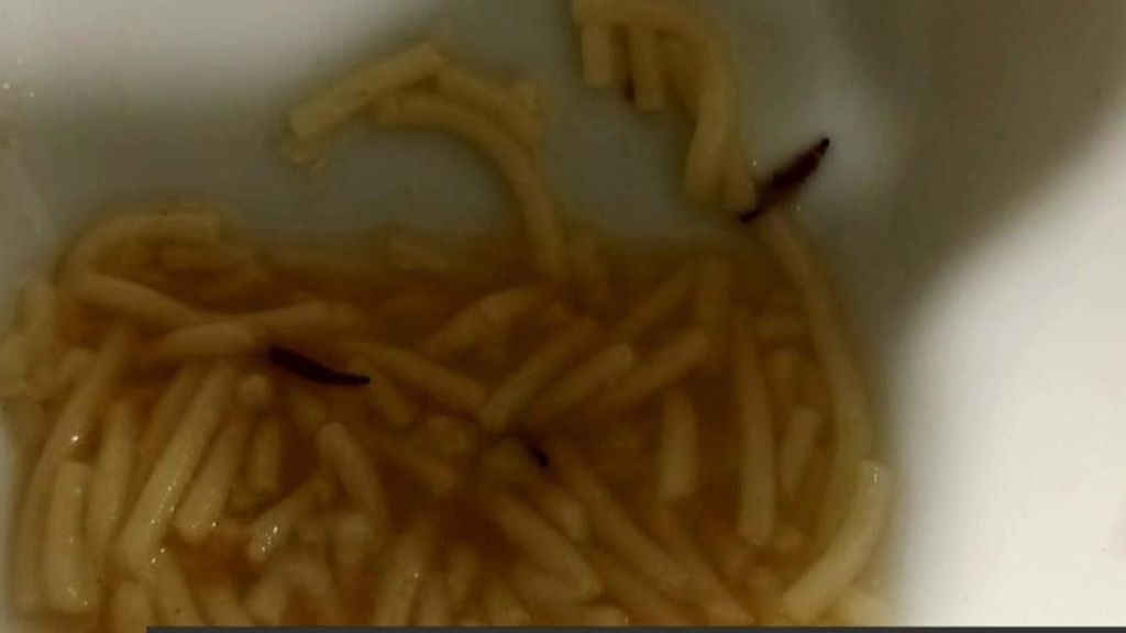 Una empresa, adjudicada para cubrir comedores escolares tras servir comida con gusanos en el Hospital de León