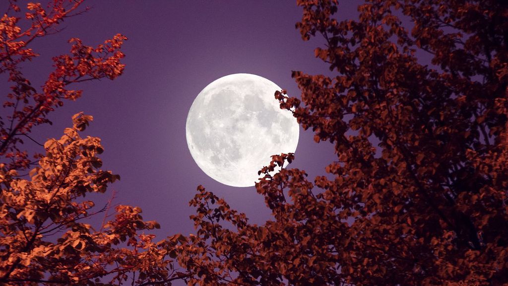 Cuándo ver la Luna del Castor 2022