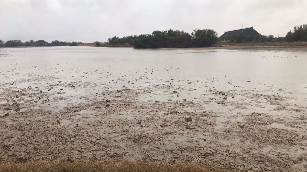 La marisma artificial de Doñana: la salvación de la fauna ante la sequía extrema