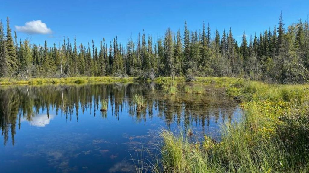 Los lagos termokarst, como Big Trail Lake cerca de Fairbanks, están liberando metano a la atmósfera