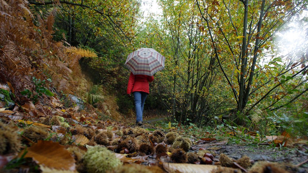 Un tren de frentes con lluvias y un “veranillo” marcarán el tiempo la próxima semana