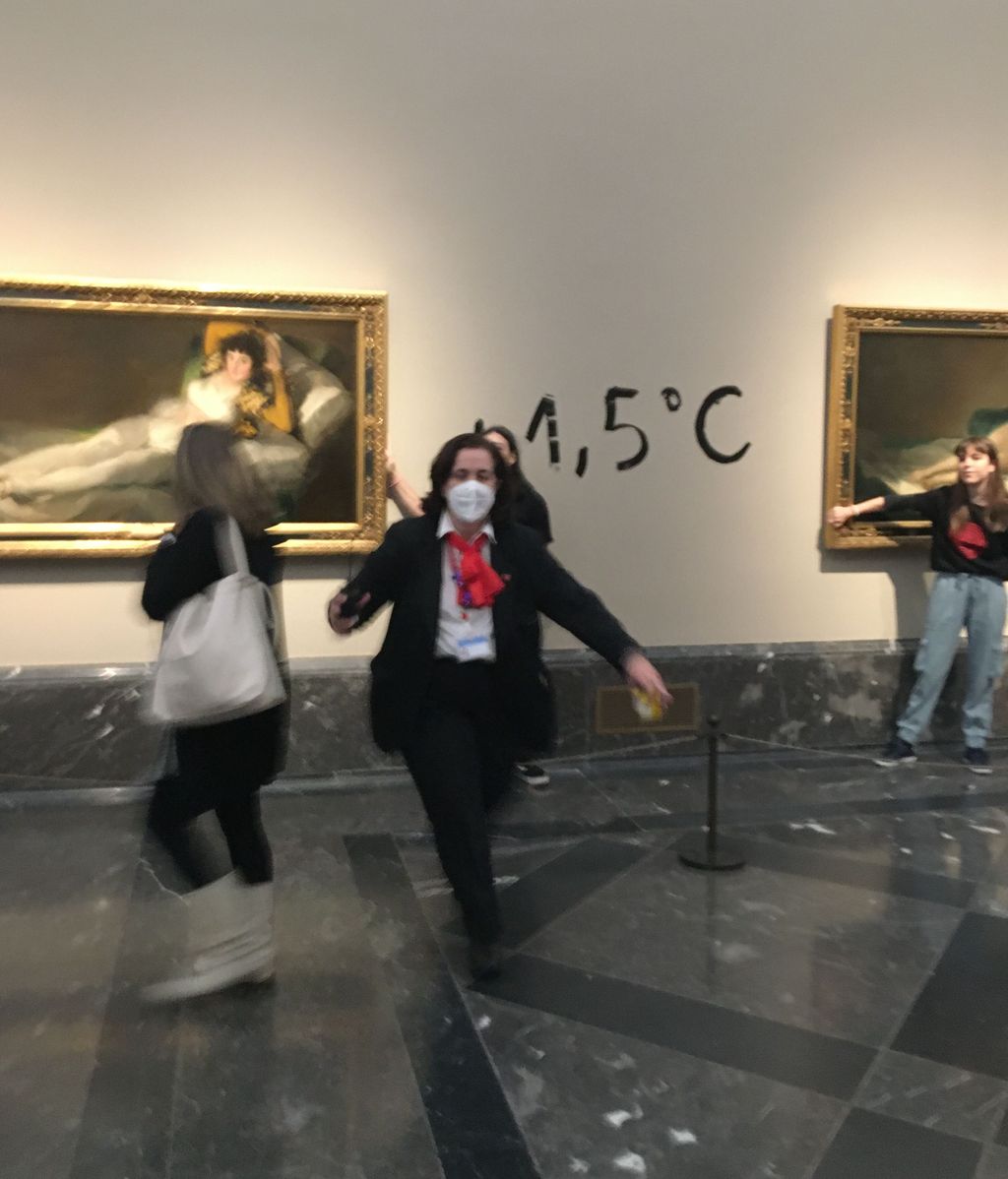 IMG 4268