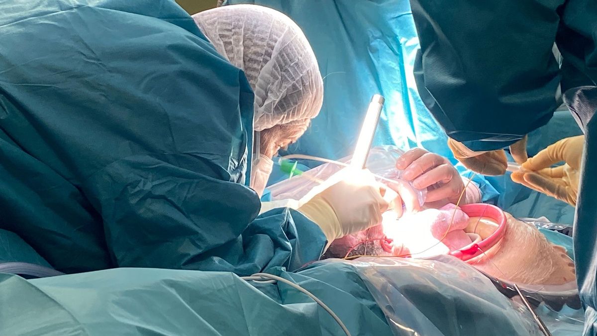 Operación intrauterina a un feto en un hospital de Málaga