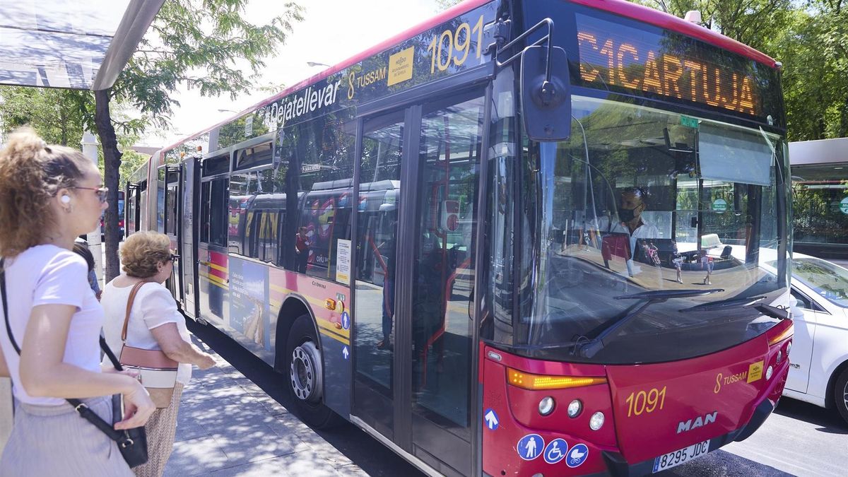 autobus autobus