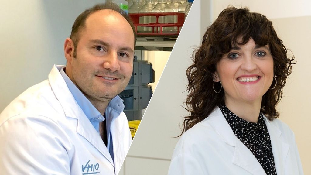 Un estudio español identifica las células responsables de la recaída en el cáncer de colon