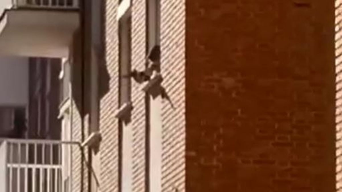 Un hombre se lía a tiros con una pistola de aire comprimido desde una ventana en Cádiz