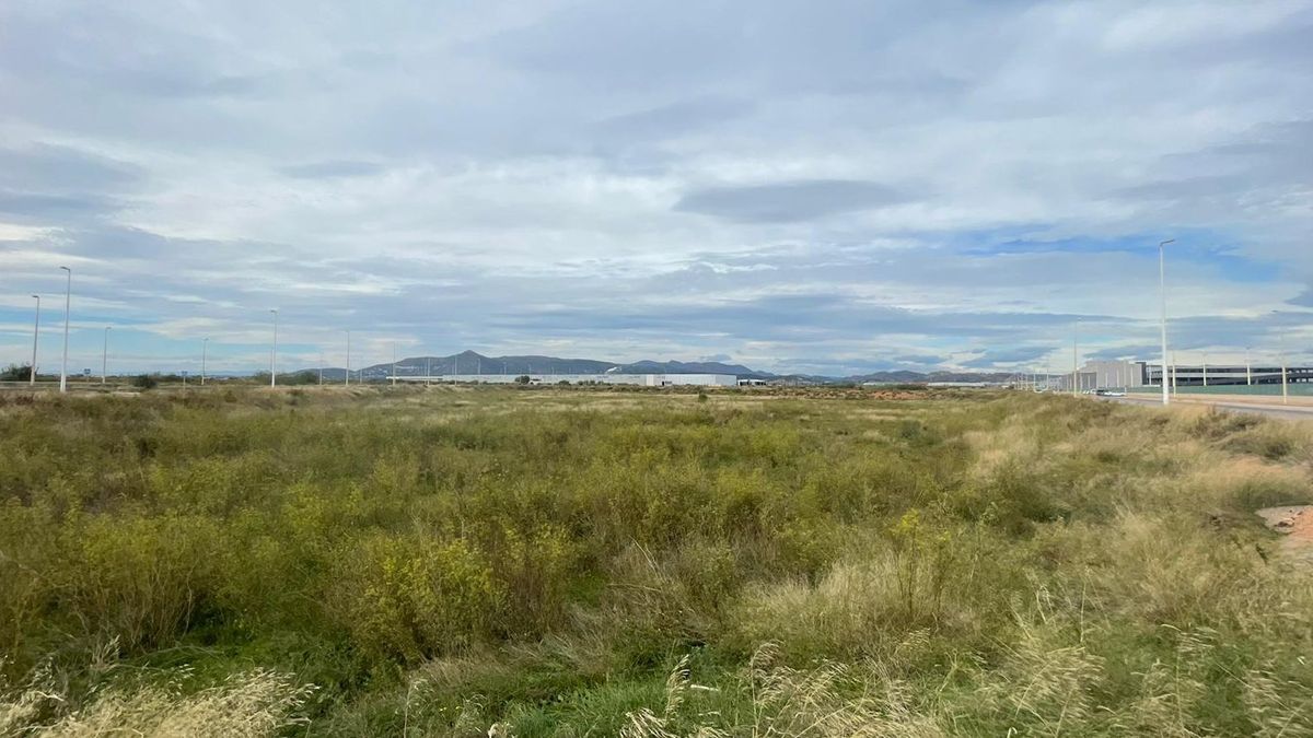 Terrenos donde se ubicará la gigafactoria en Parc Sagunt II Terrenos donde se ubicará la gigafactoria en Parc Sagunt II