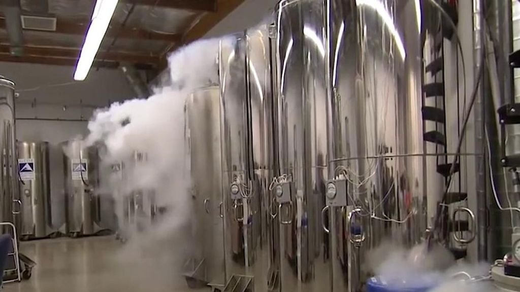 El lucroso negocio de la criopreservación