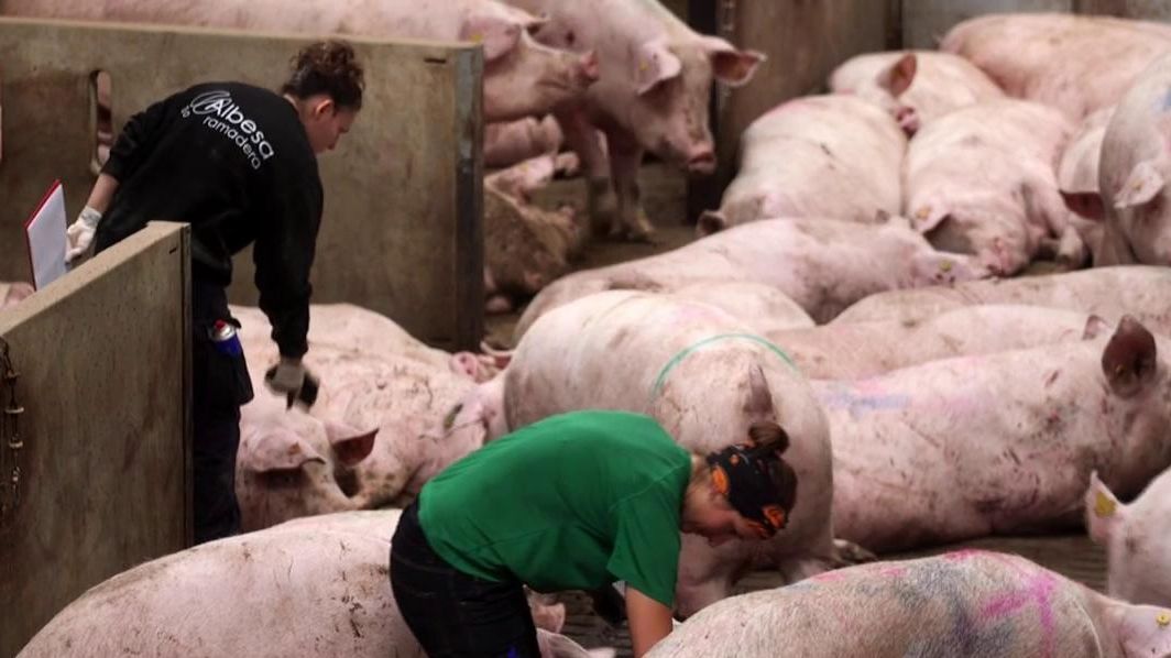 2022 11 11 1937 REC Cuatro REC.ts.0x0.150137589352500