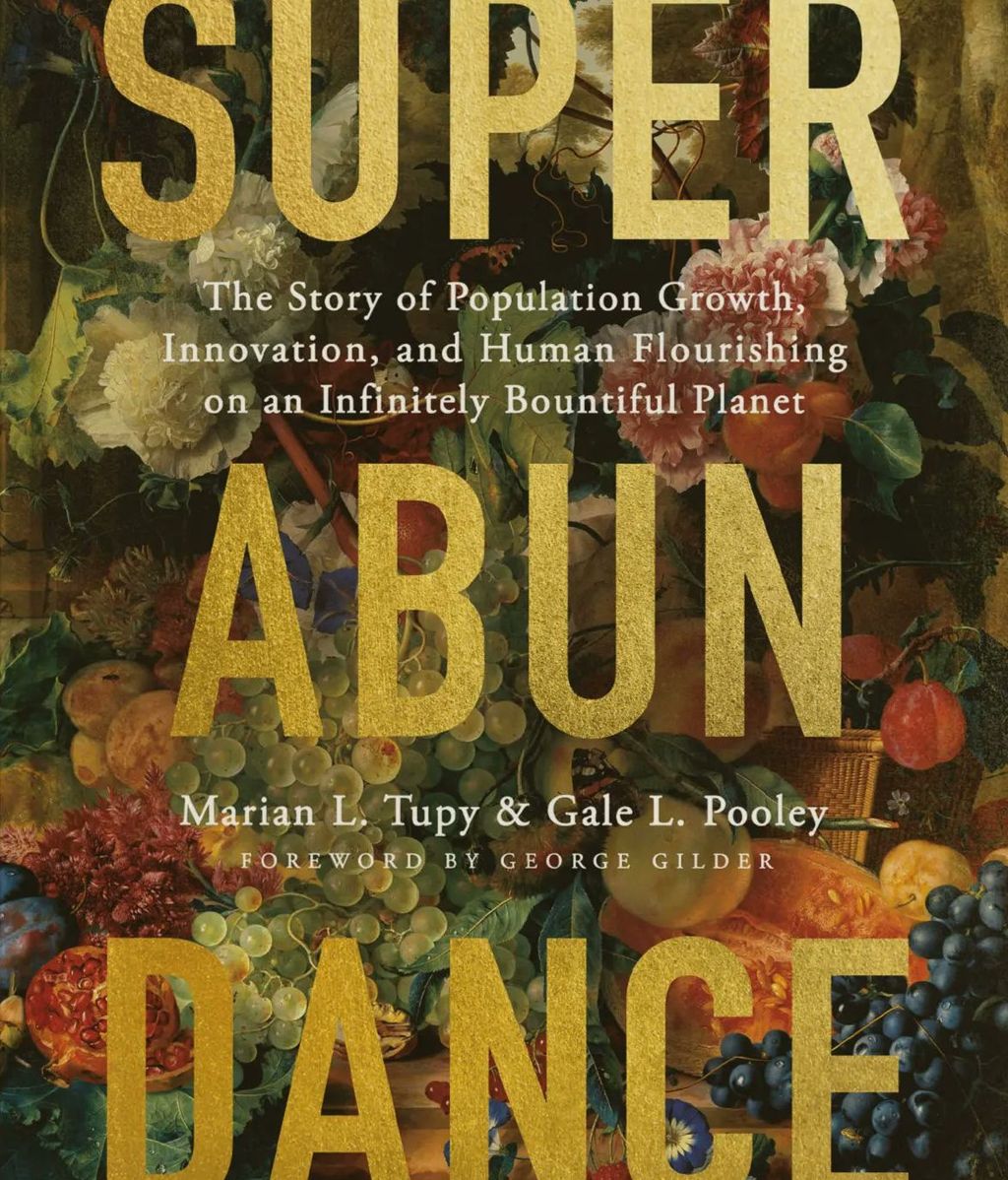 Portada del libro Superabondance