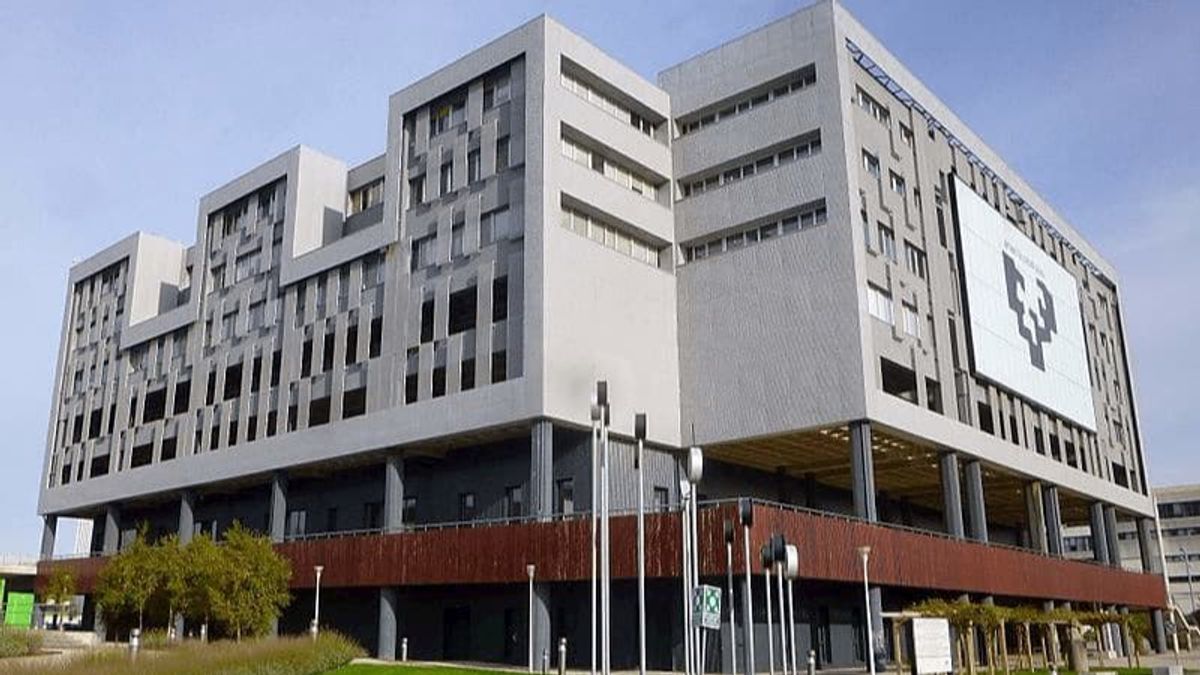 Universidad del País Vasco Universidad del País Vasco