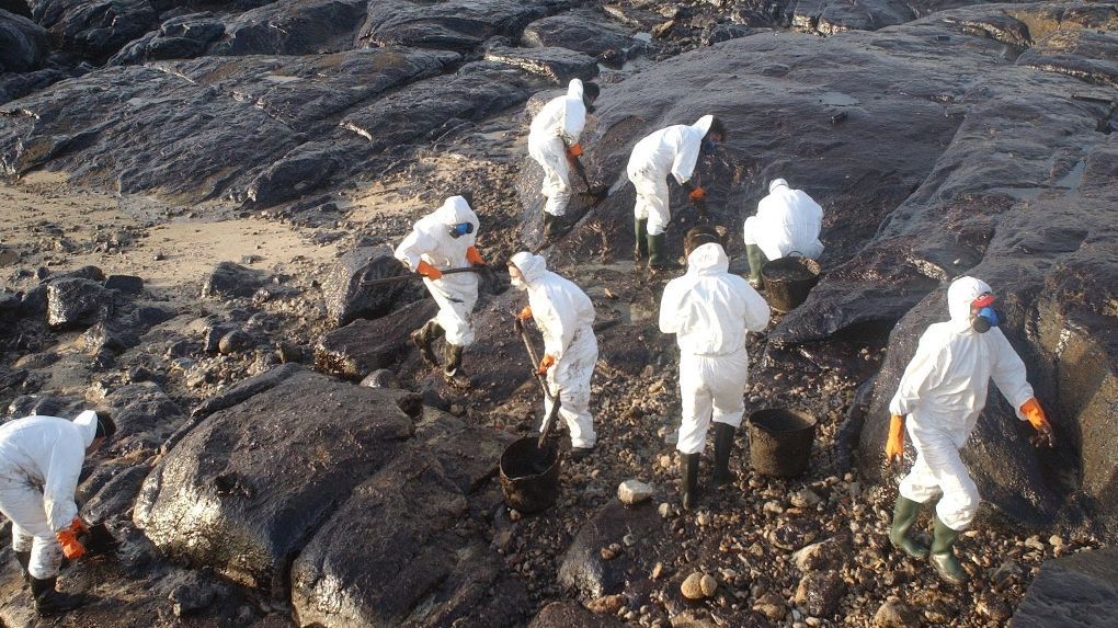 Voluntarios recogiendo el chapapote que llegó a las costas gallegas.