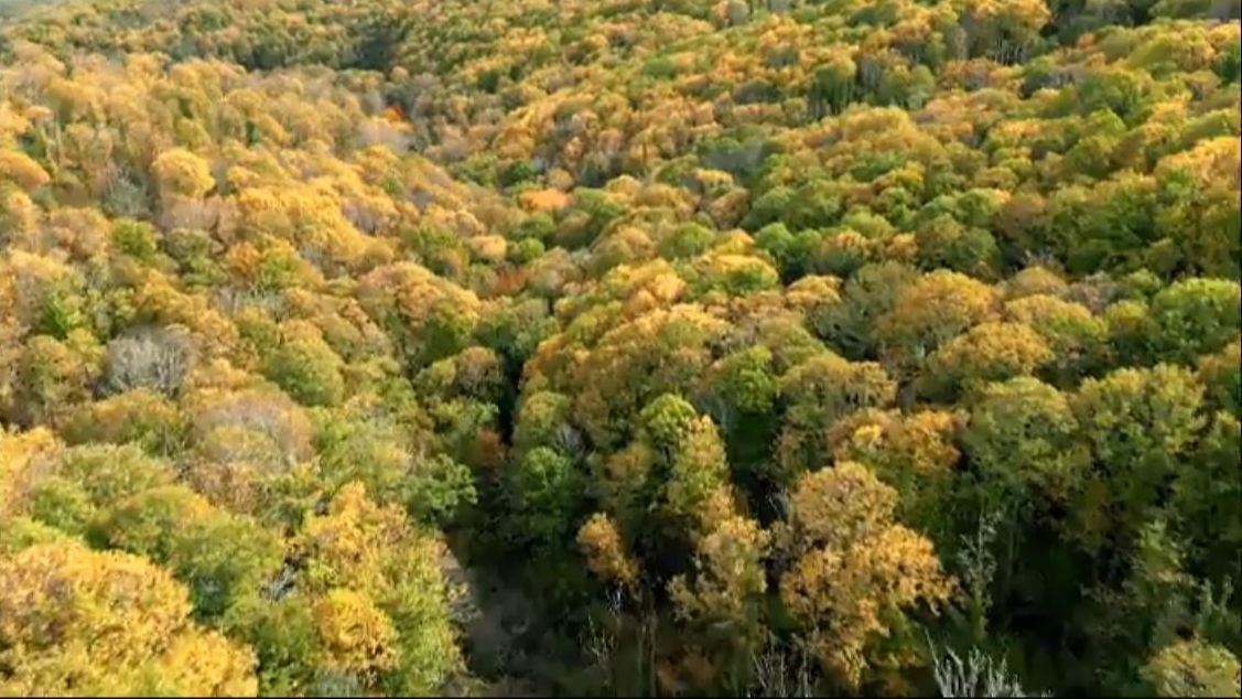 El esplendor del otoño, un espectáculo de la naturaleza