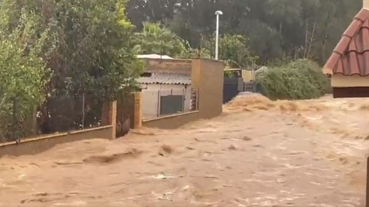 Pánico en Aldaia, Valencia, al desbordarse el barranco por las fuertes lluvias: "Ha sido tremendo"